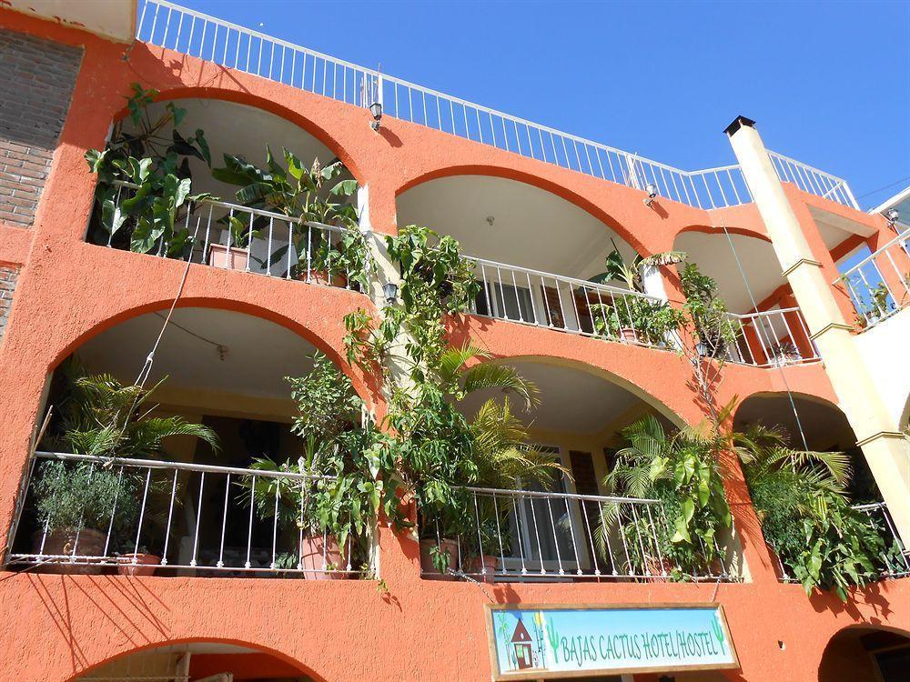 Bajas Cactus Hostal Cabo San Lucas