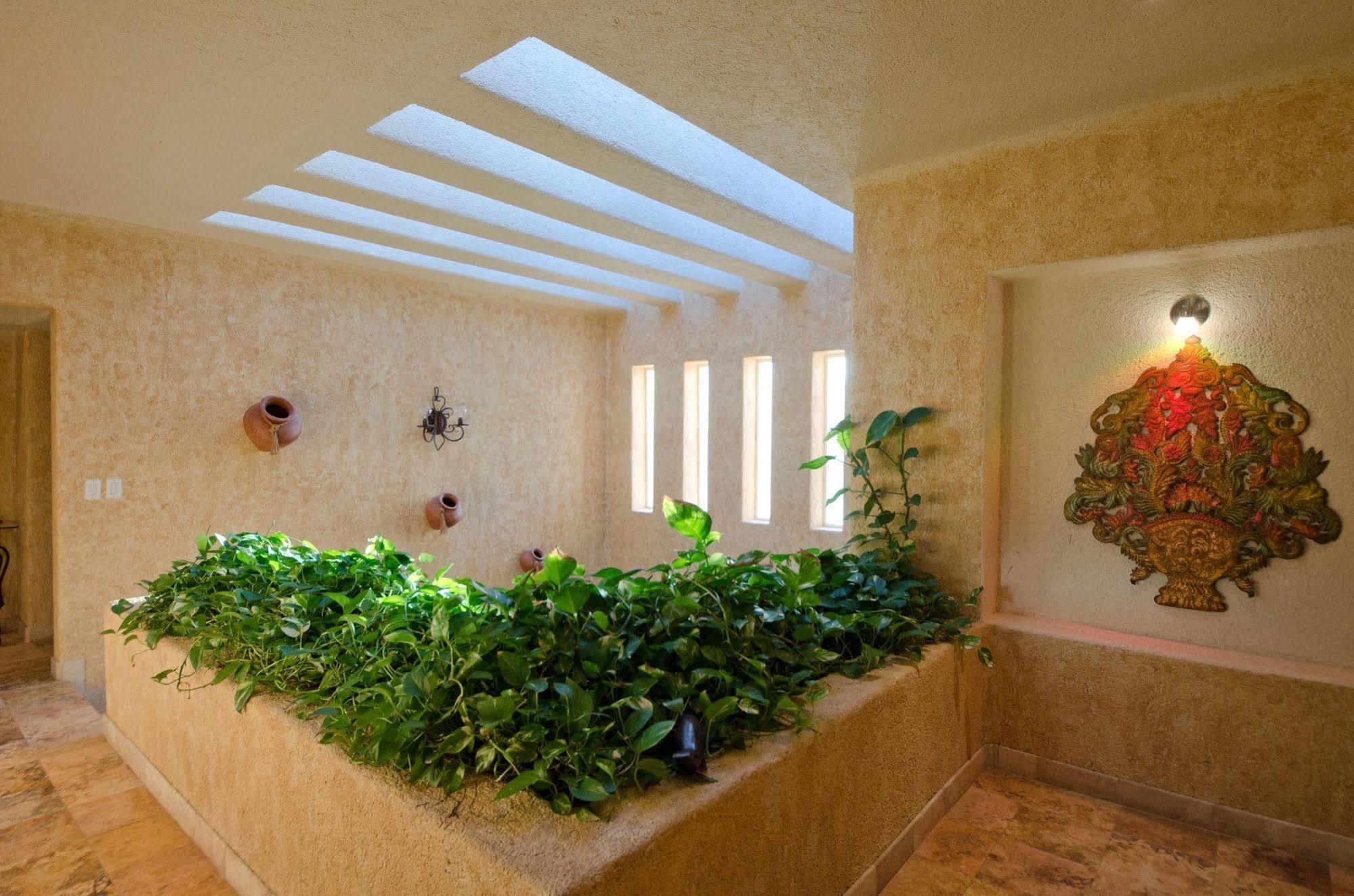 De La Luz Hotel Cabo San Lucas