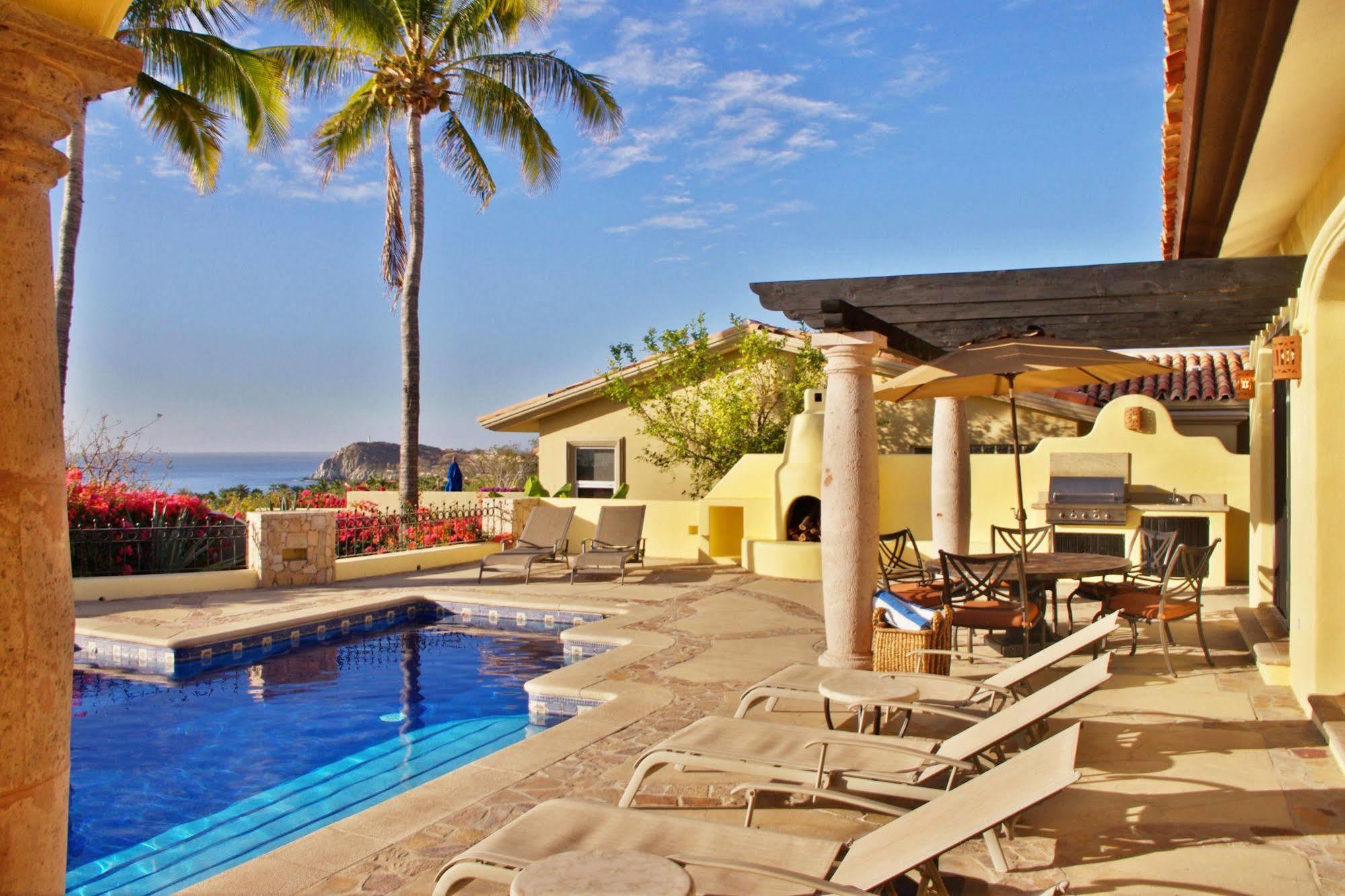 Agave Azul Cabo San Lucas