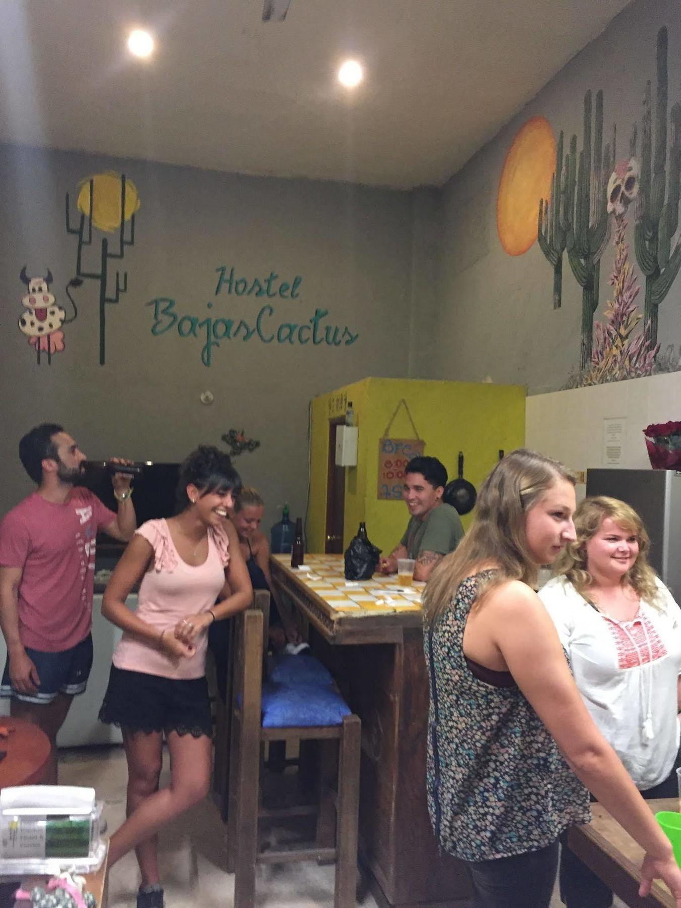 Bajas Cactus Hostal Cabo San Lucas