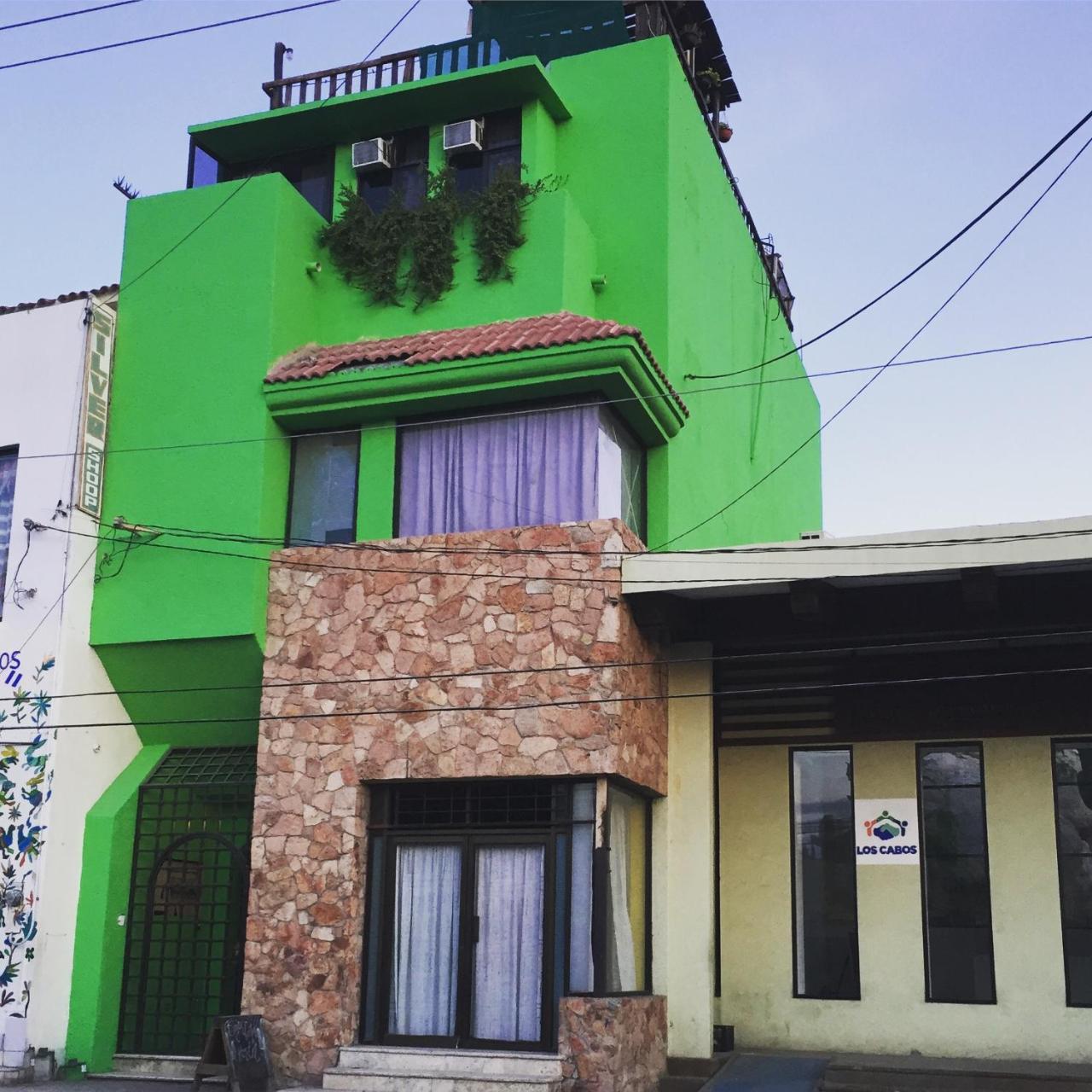 Bajas Cactus Hostal *