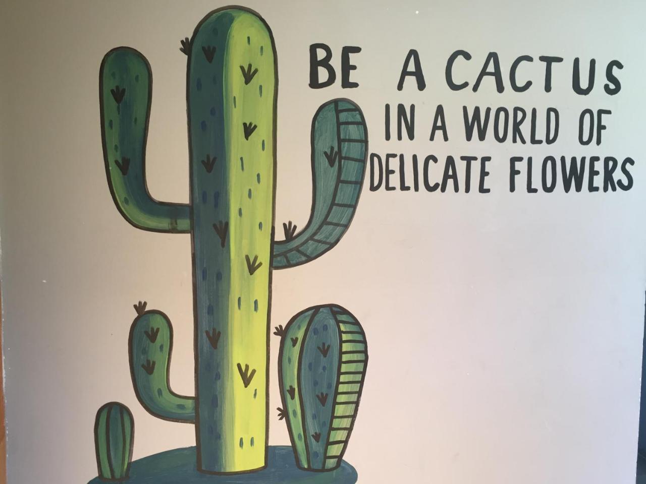 Bajas Cactus Hostal *