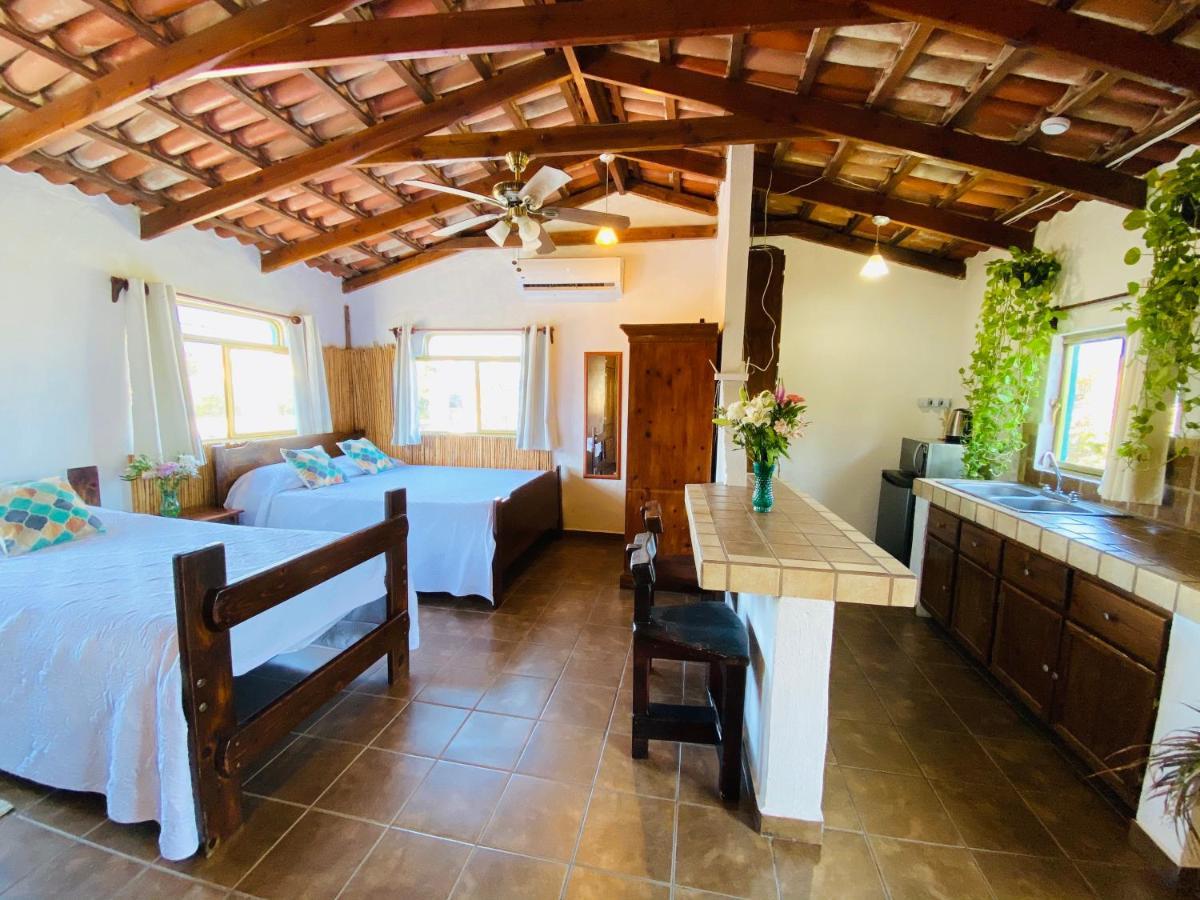Apartamento Guest house *