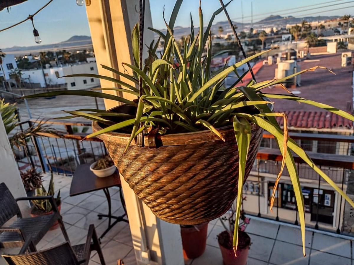 Hotel Bajalife Boutique Cabo San Lucas