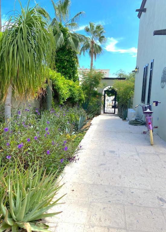 Spectacular Vacation Ocean View Walk To