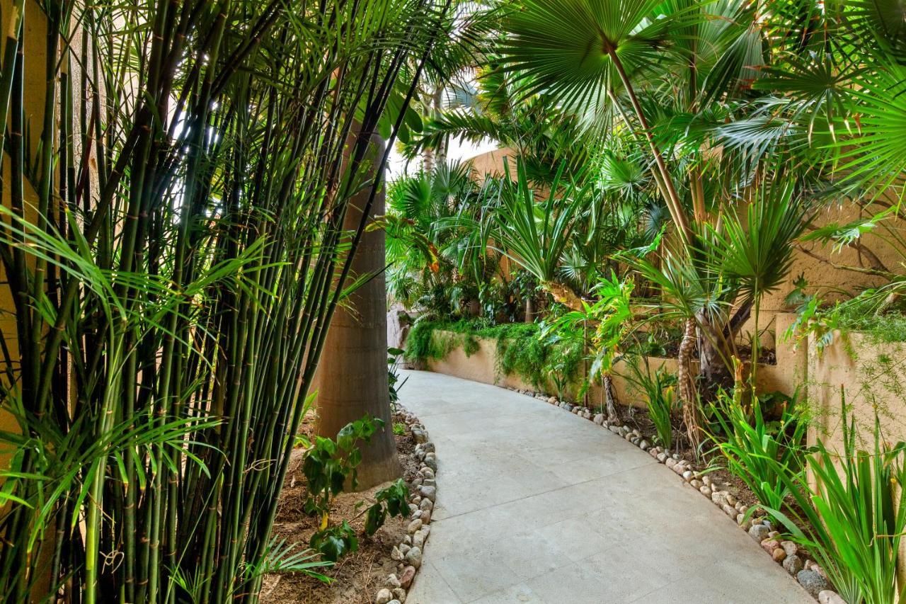 Exquisite With Awesome Views & Staff In Pedregal! * Cabo San Lucas