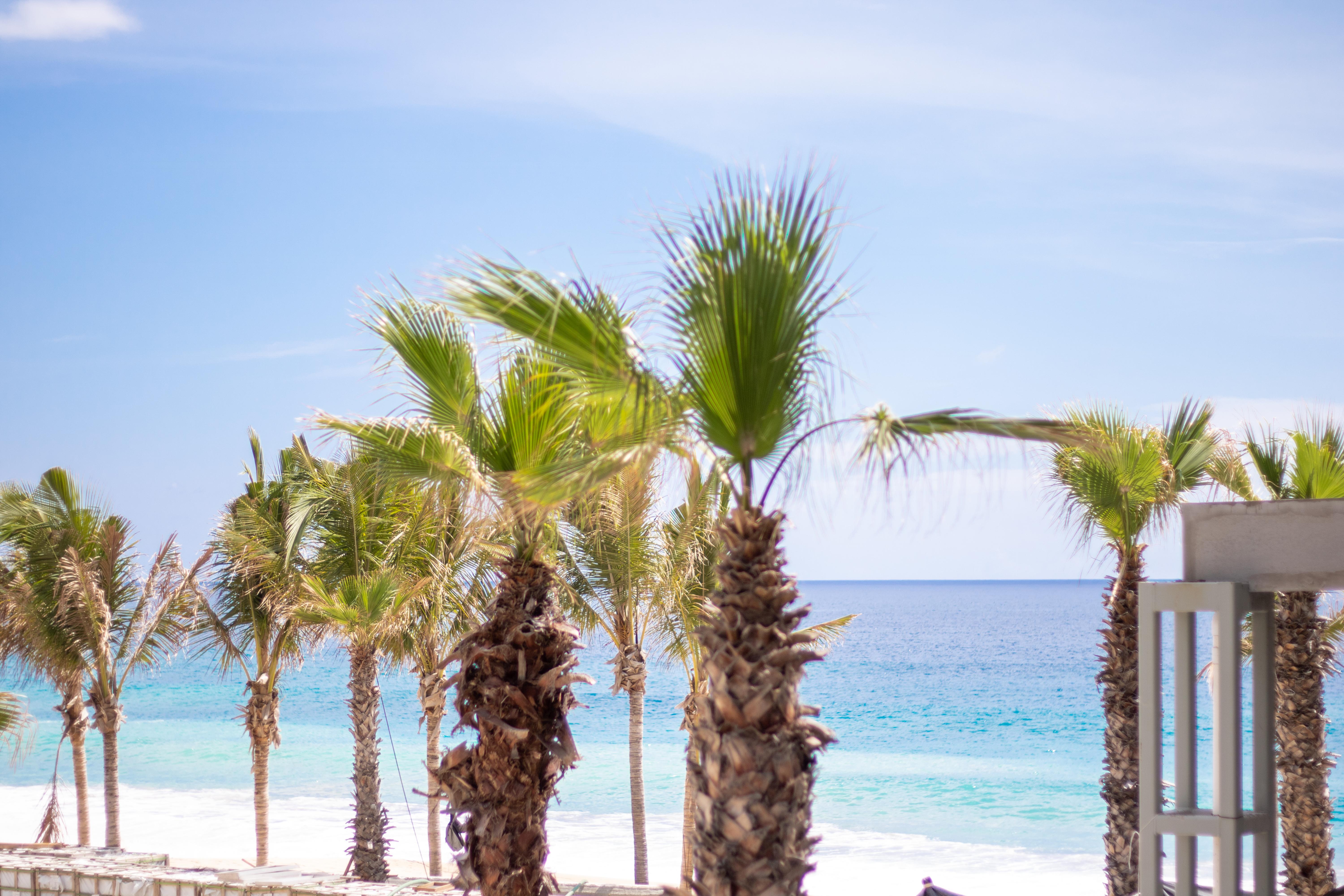 Hotel Garza Blanca & Cabos Cabo San Lucas