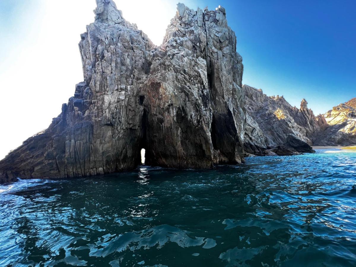 Spectacular Vacation Ocean View Walk To Holiday home