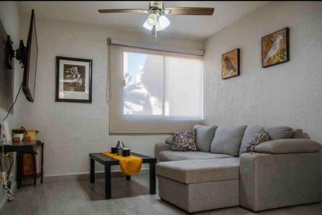 Cozy Downtown Apt. Walking Distance To The Beach. Apartment