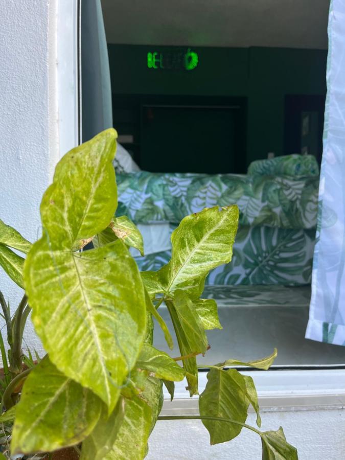 Acomodação com café da manhã  Dici Co-living Housing Cabo San Lucas