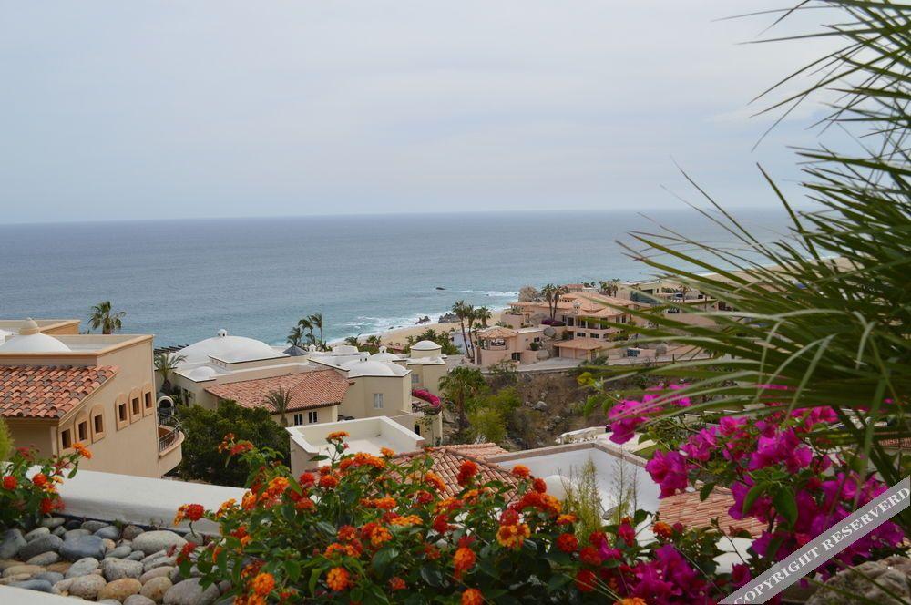 Las Flores 4*