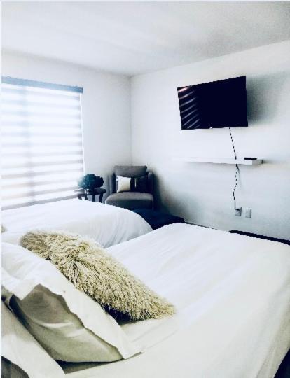 Aparthotel Morgan Residences 1 Bedroom Cabo San Lucas