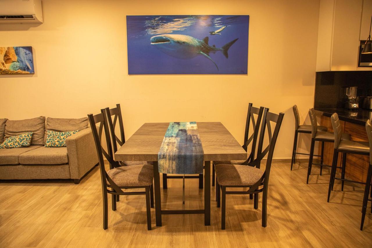 Apartment New W/rooftop Pool & View Cabo San Lucas