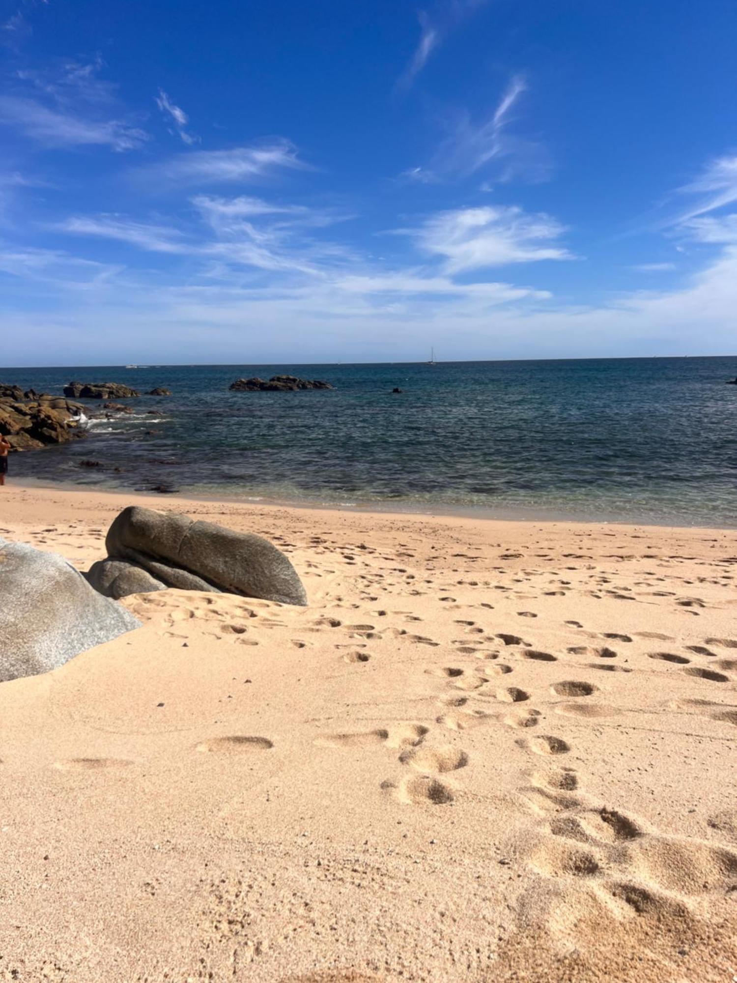 Spectacular Vacation Ocean View Walk To Holiday home *