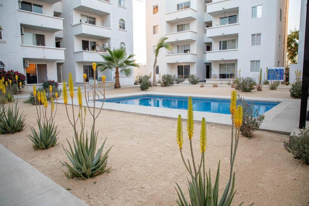 Downtown W/ Pool Apartment