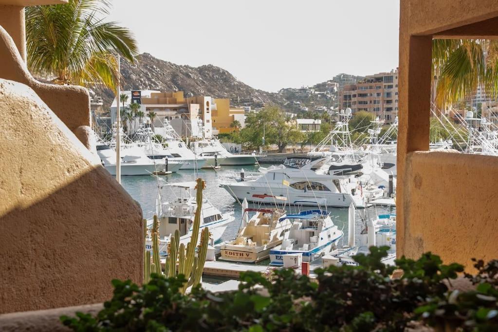 Apartment Great Spot @ Marina, Cabo's Lifestyle On Hand Cabo San Lucas