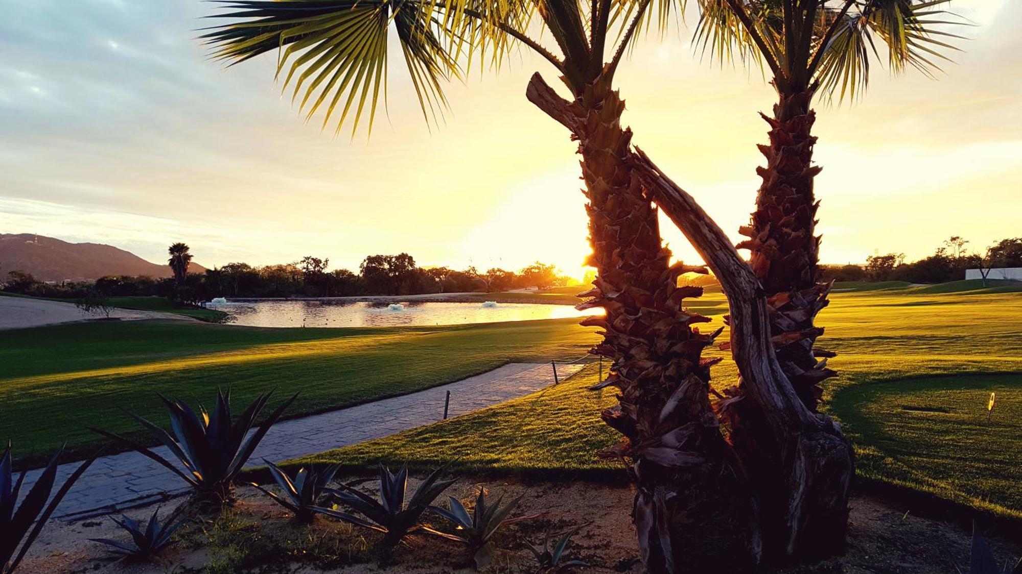 Resort Cabos Golf