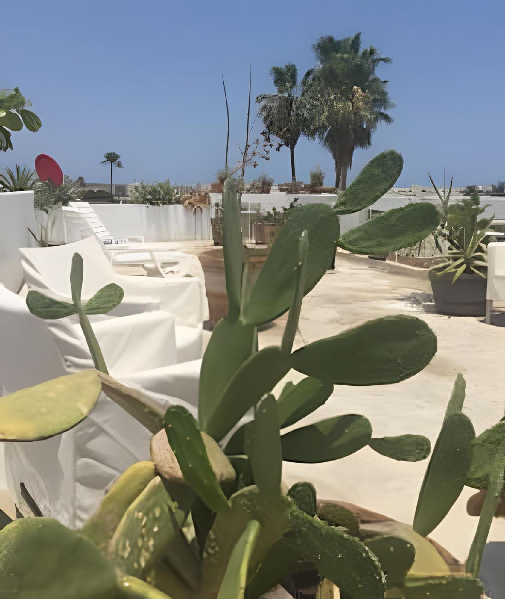 12 De Octubre Cabo San Lucas
