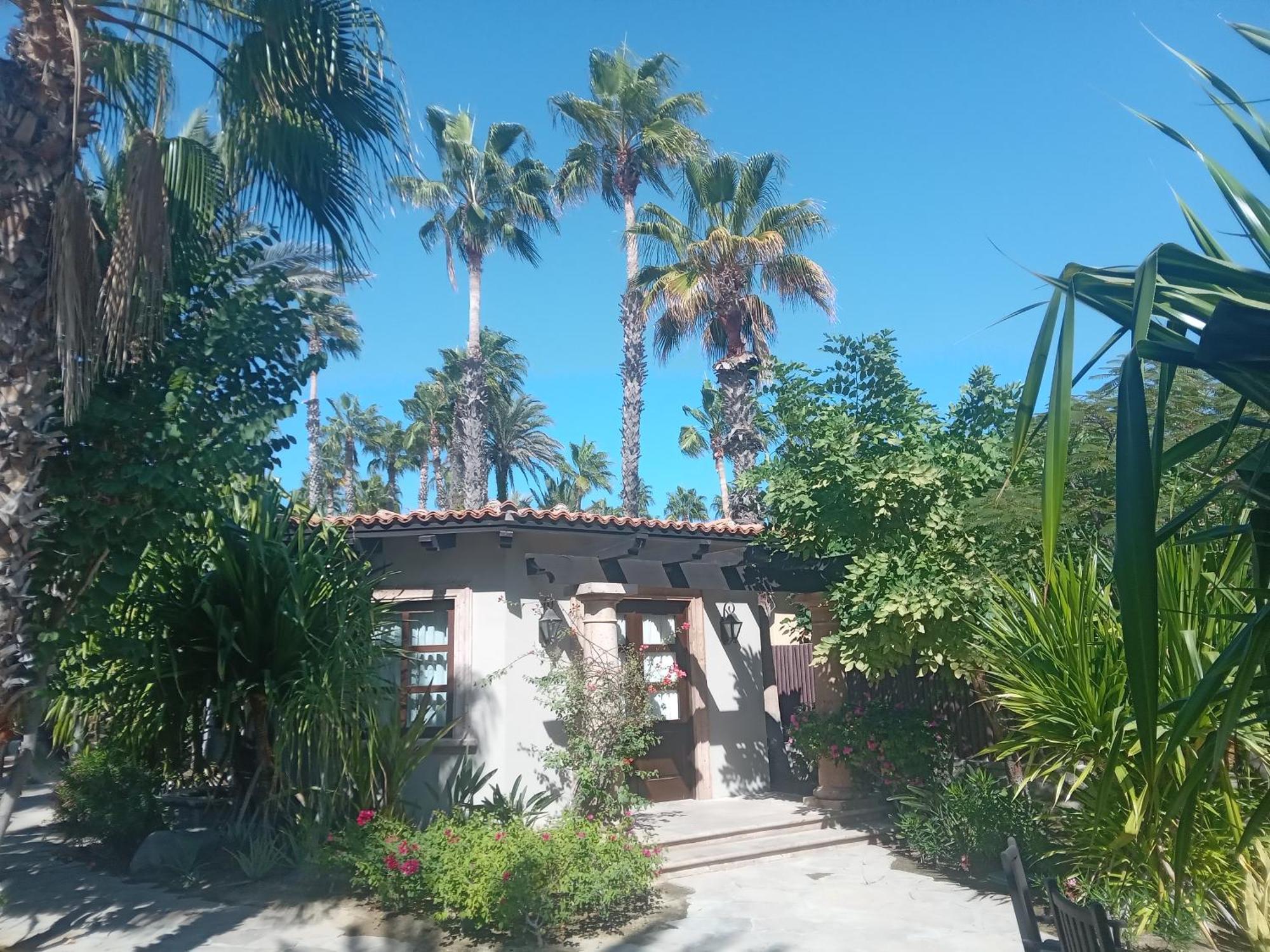 Cabo Junior Hotel 4*