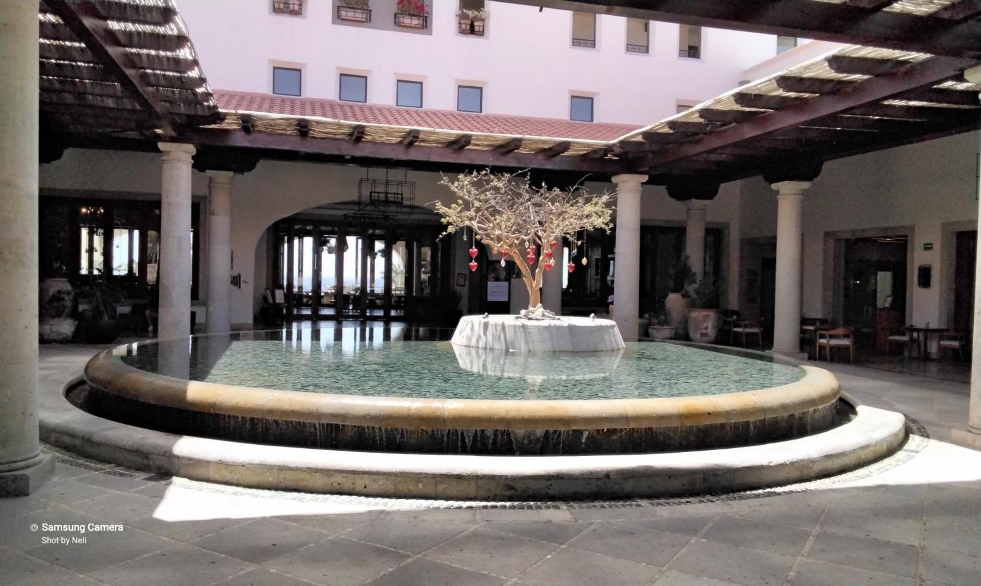 Swuim Up * Cabo San Lucas