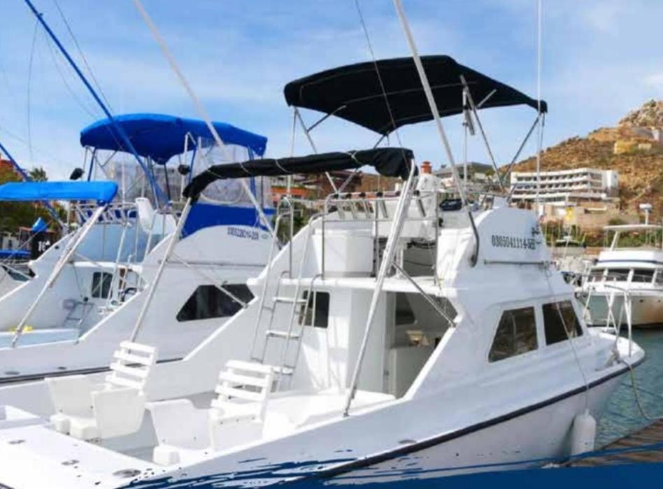 Cabo Js Harbour *