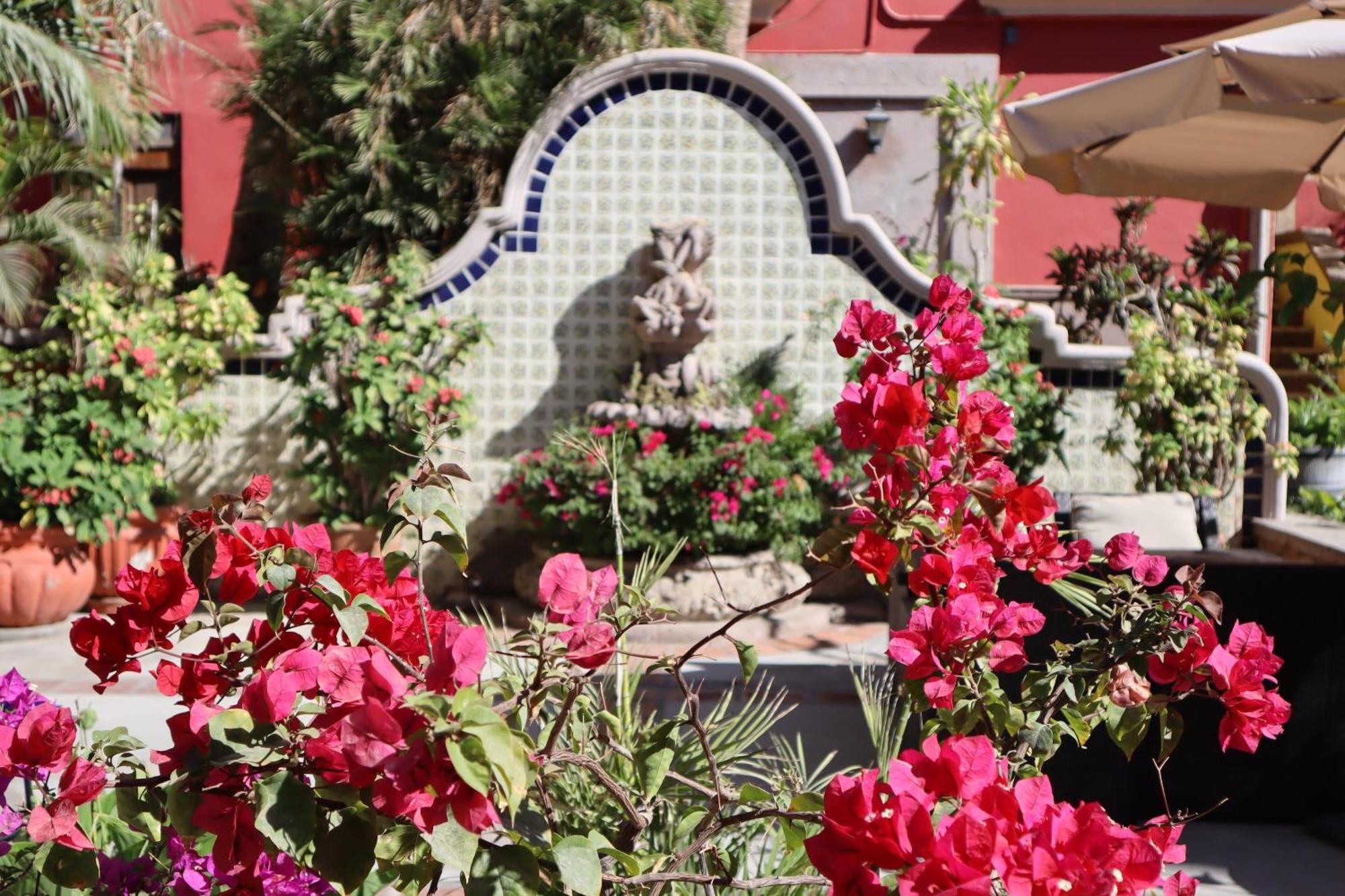 Hotel Collection O Casa Bella Boutique, 5*