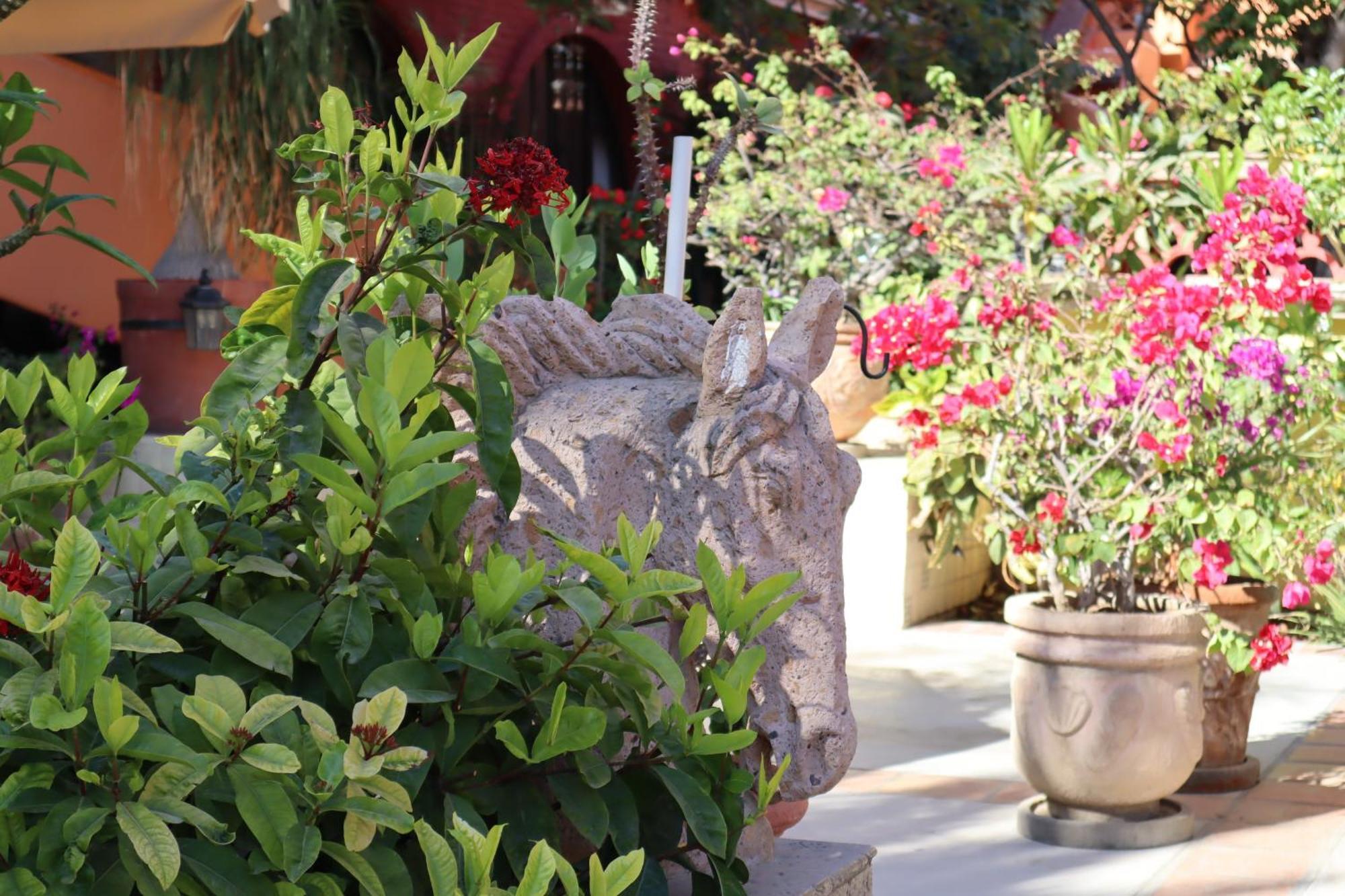 Collection O Casa Bella Boutique, 5*
