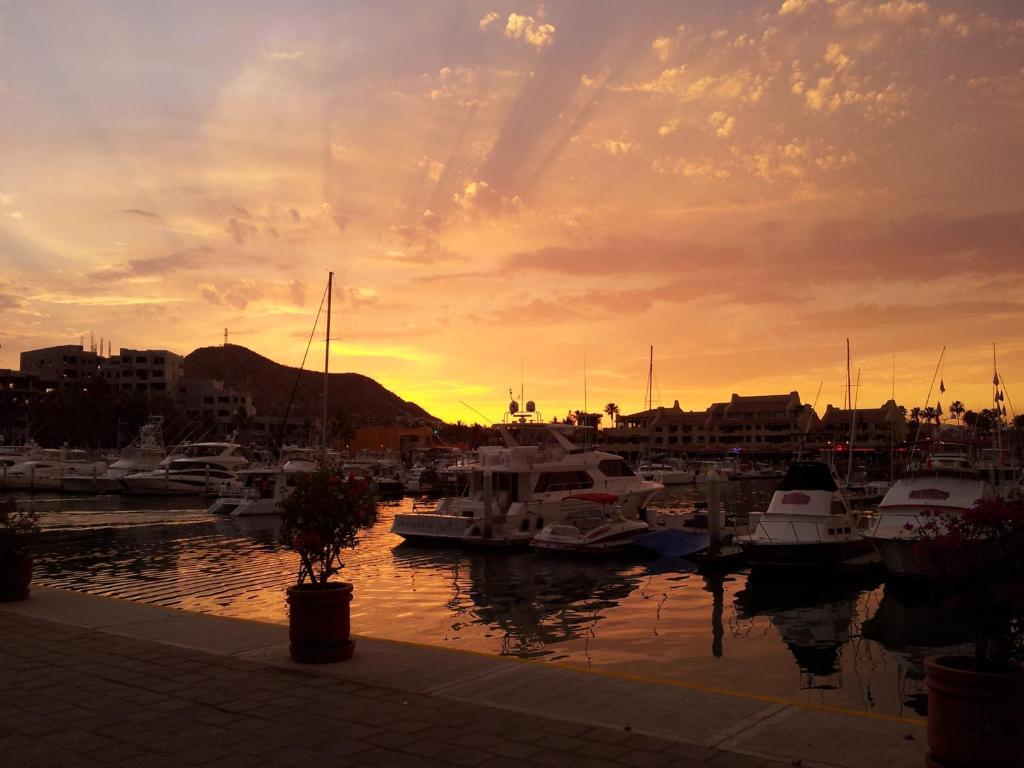 Marina Cabo Plaza Town & Apartment