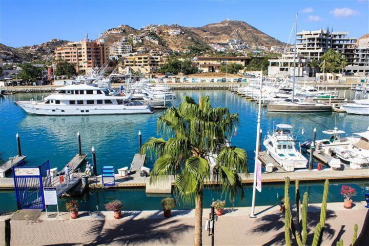 Cabo Marina *