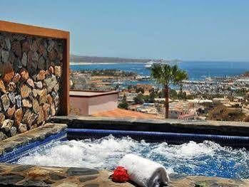 Haydee 4*