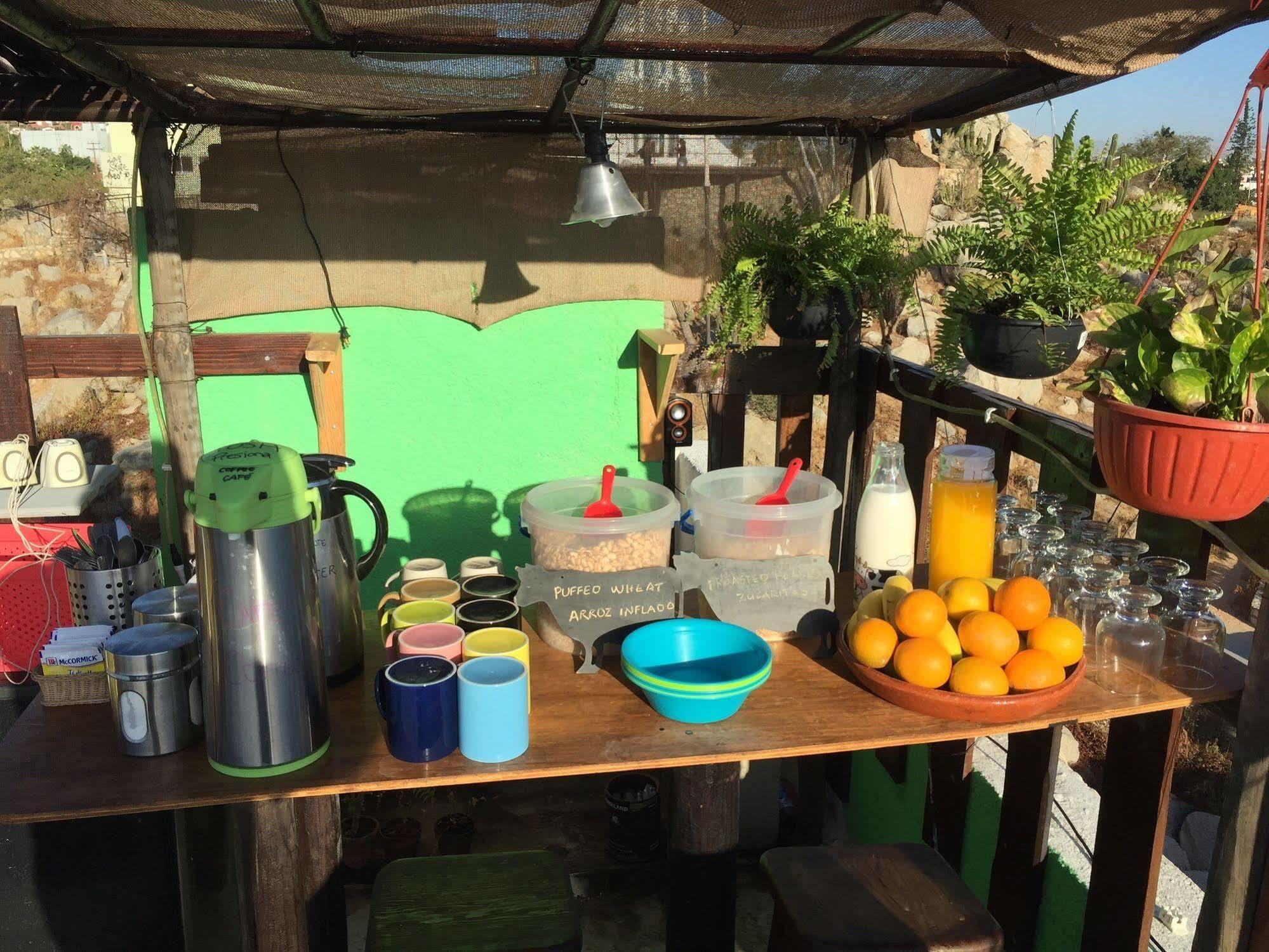 Bajas Cactus Hostel Cabo San Lucas