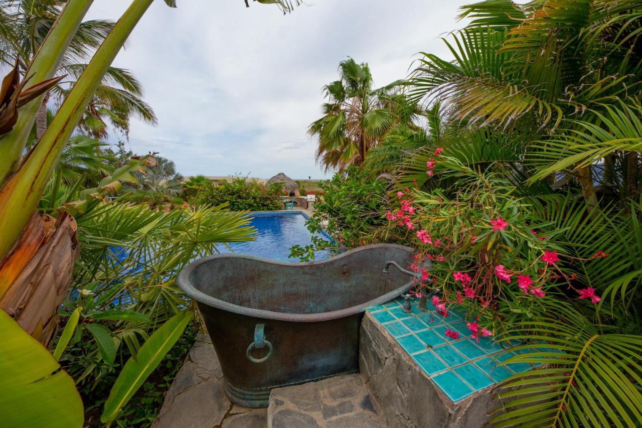 Baja Beach Oasis
