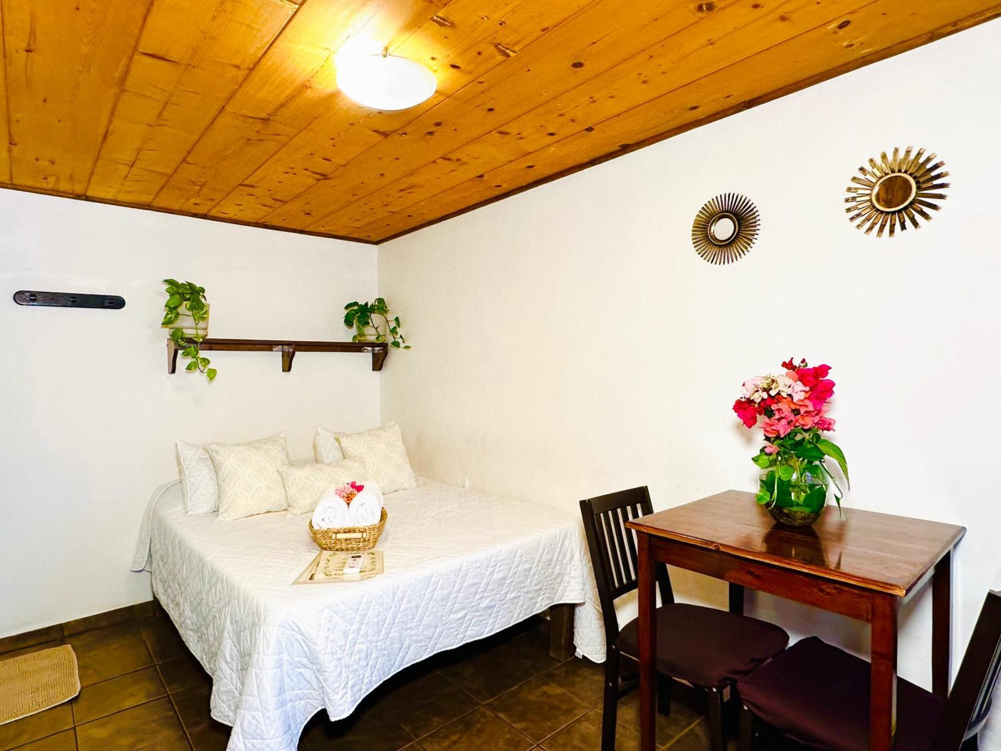 Cabo Bohemia Tropical Garden Apartment