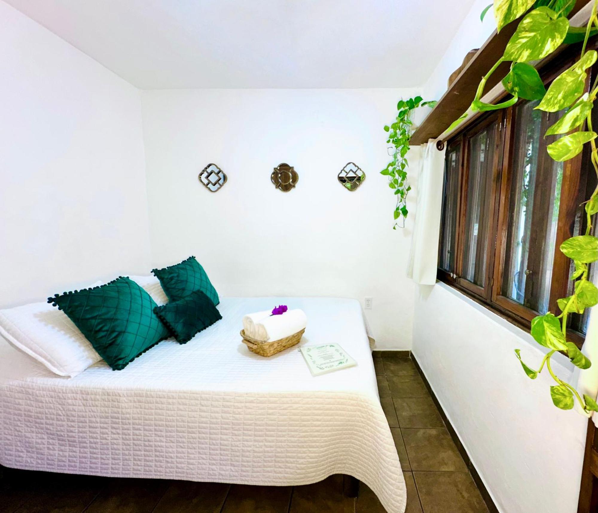 Apartment Cabo Bohemia Tropical Garden