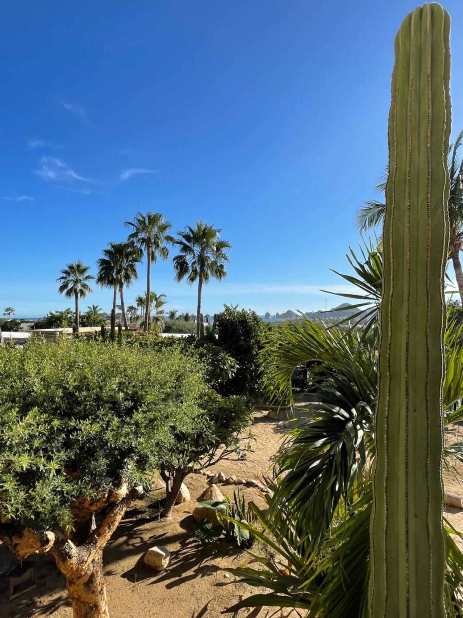 Apartment Shanti Cabo San Lucas