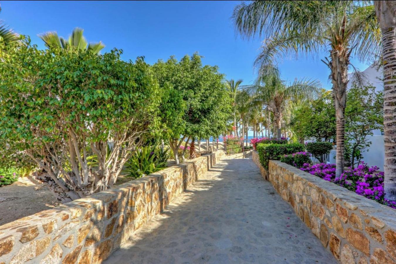 Ocean View, 2 Infinity Pools, Pedregal, Walkable Holiday home *
