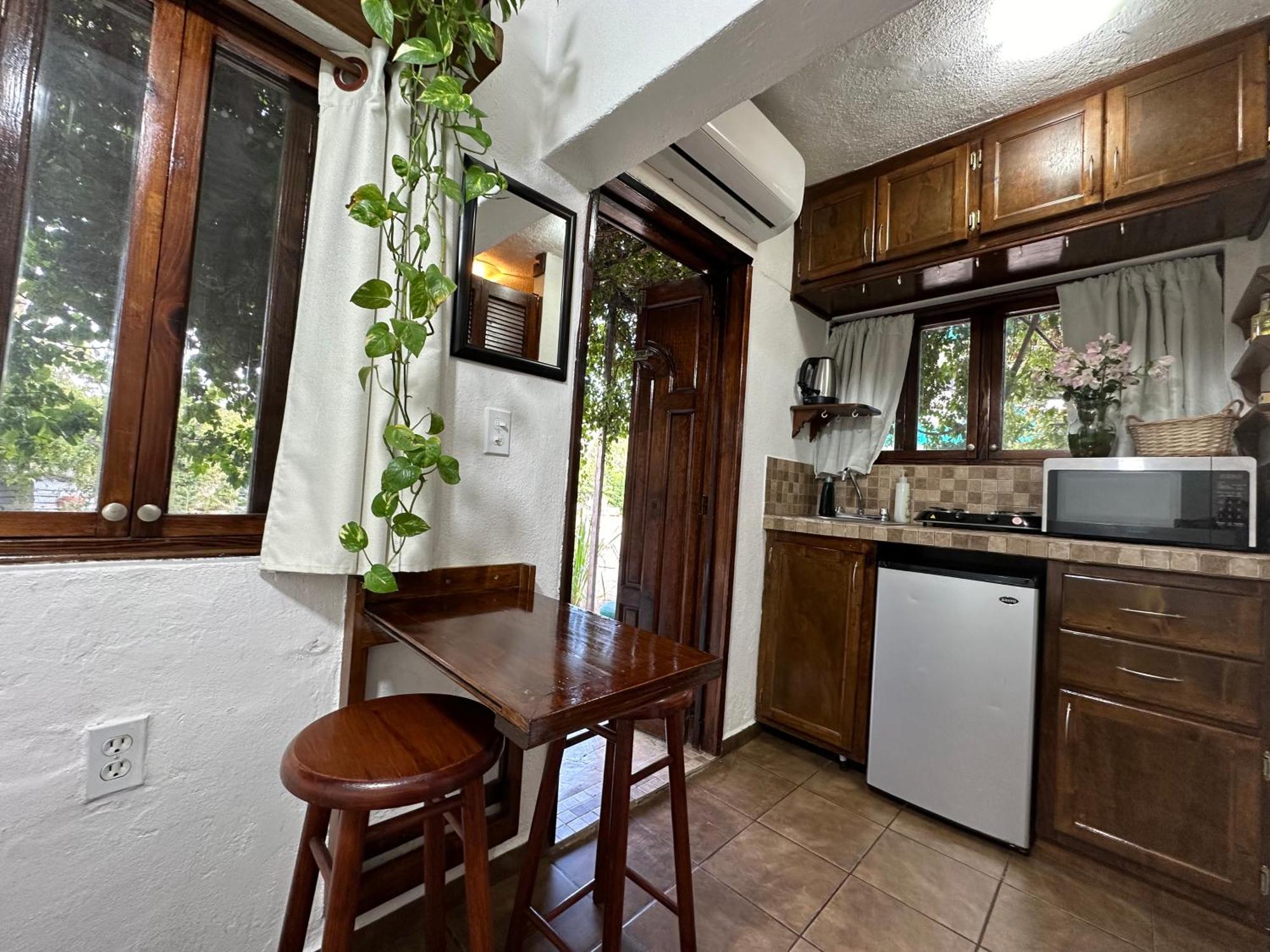 Cabo Bohemia Tropical Garden Apartment