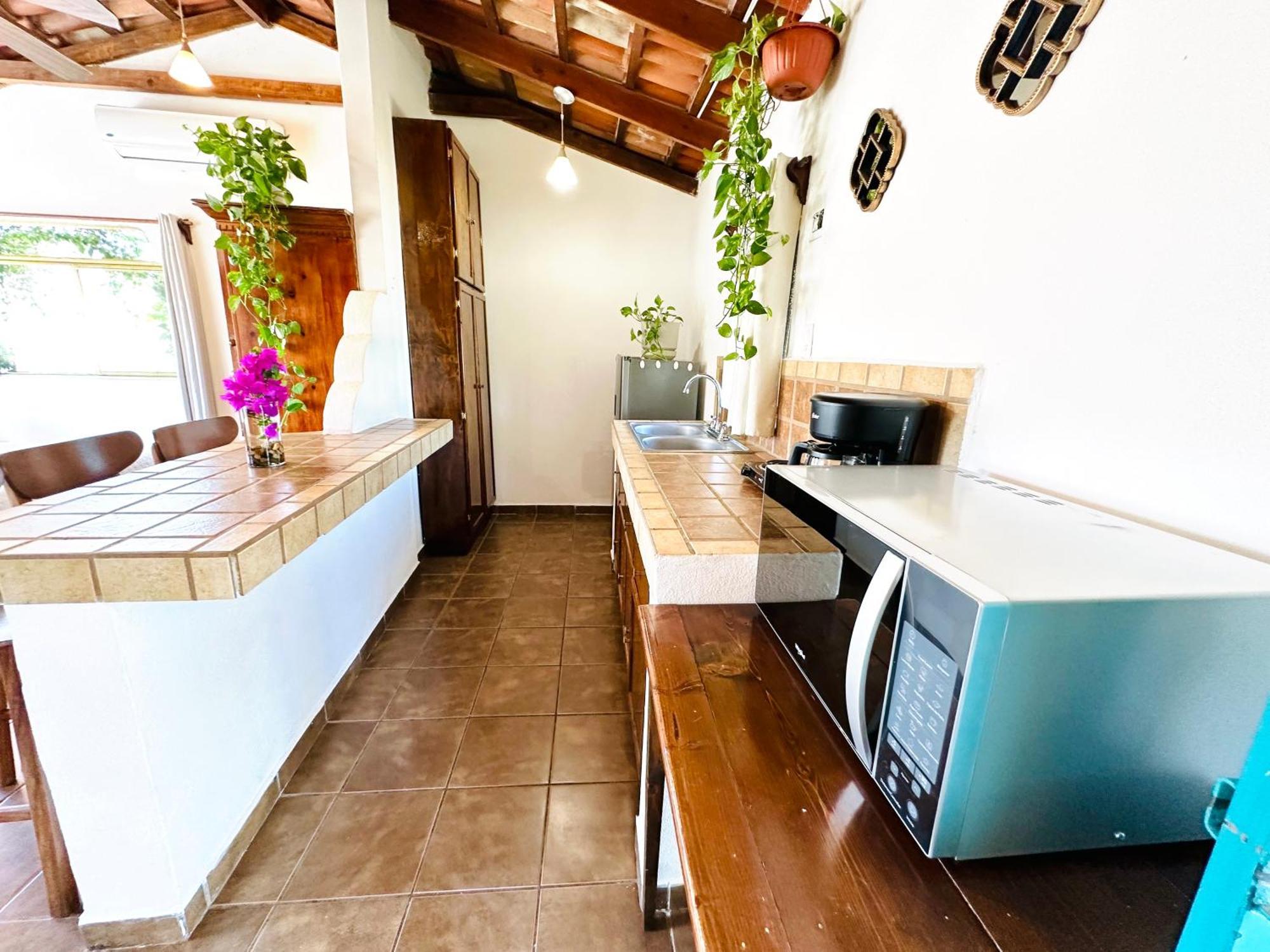 Cabo Bohemia Tropical Garden Apartment *