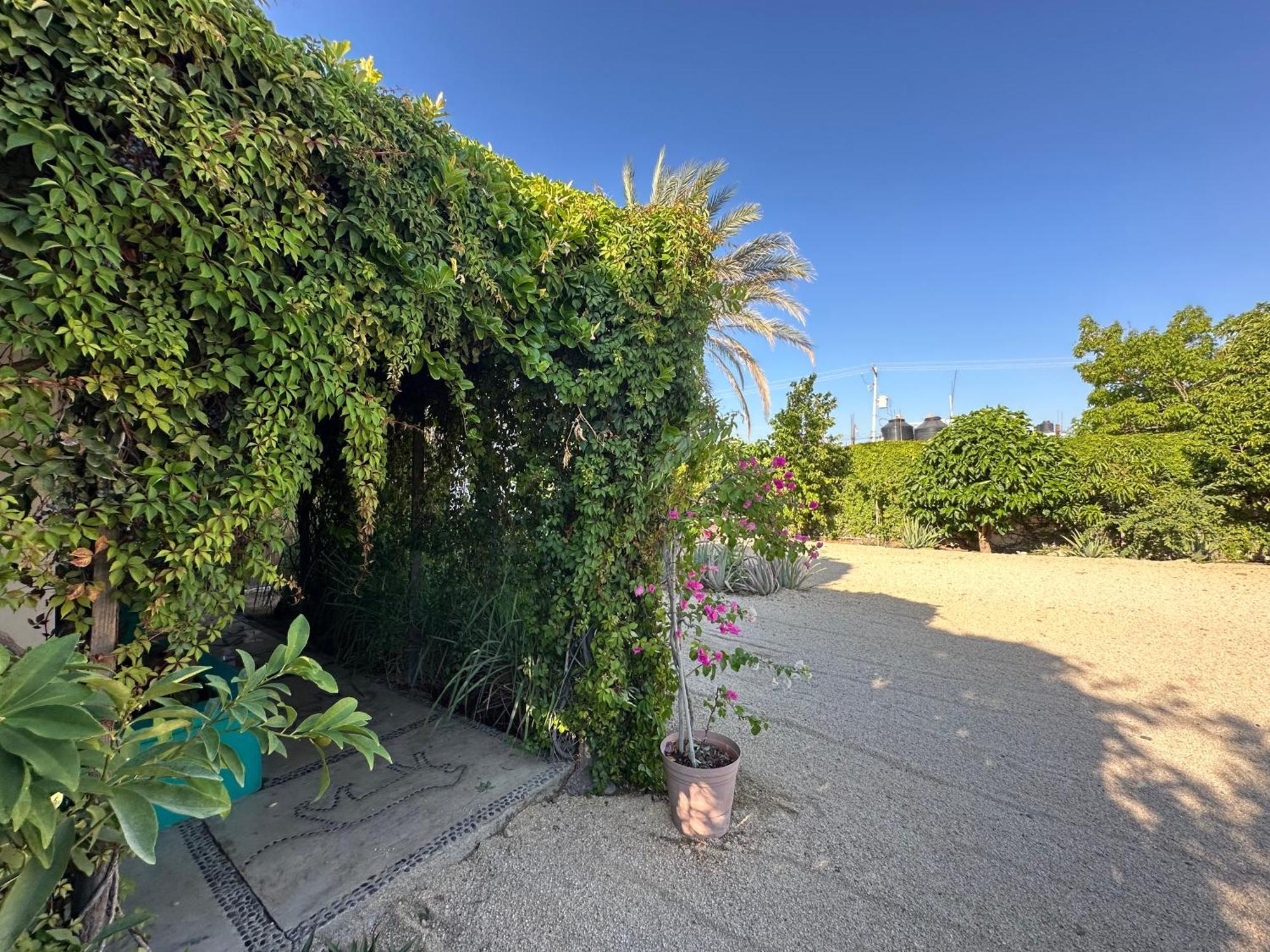 Apartment Cabo Bohemia Tropical Garden