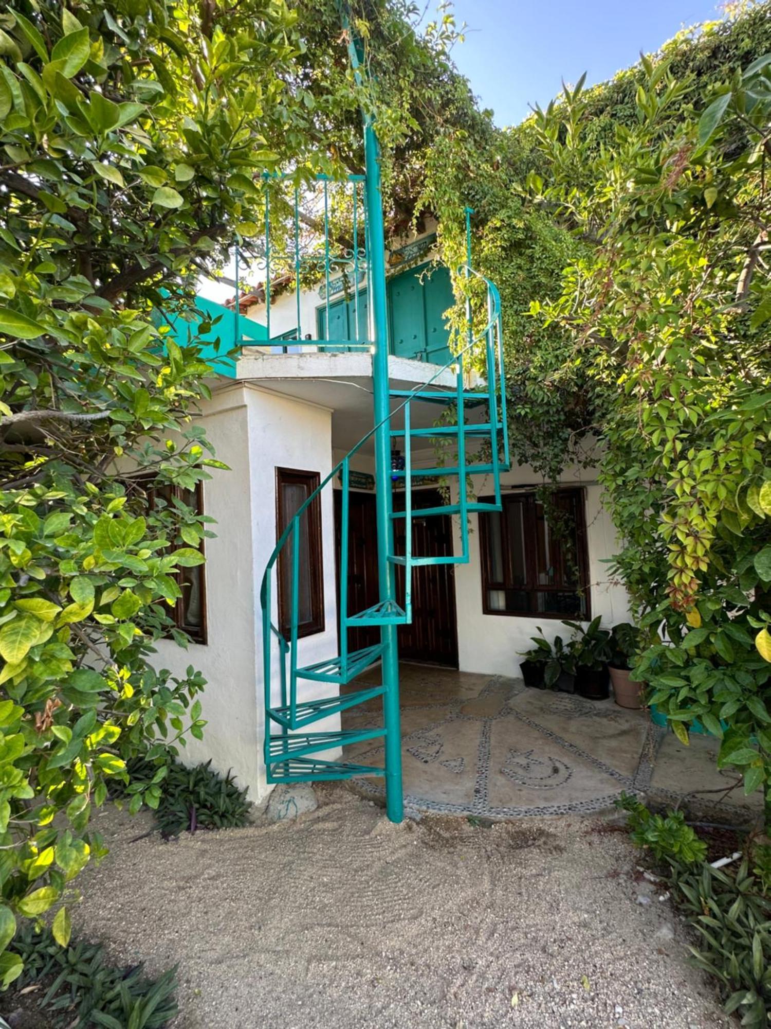 Cabo Bohemia Tropical Garden Apartment