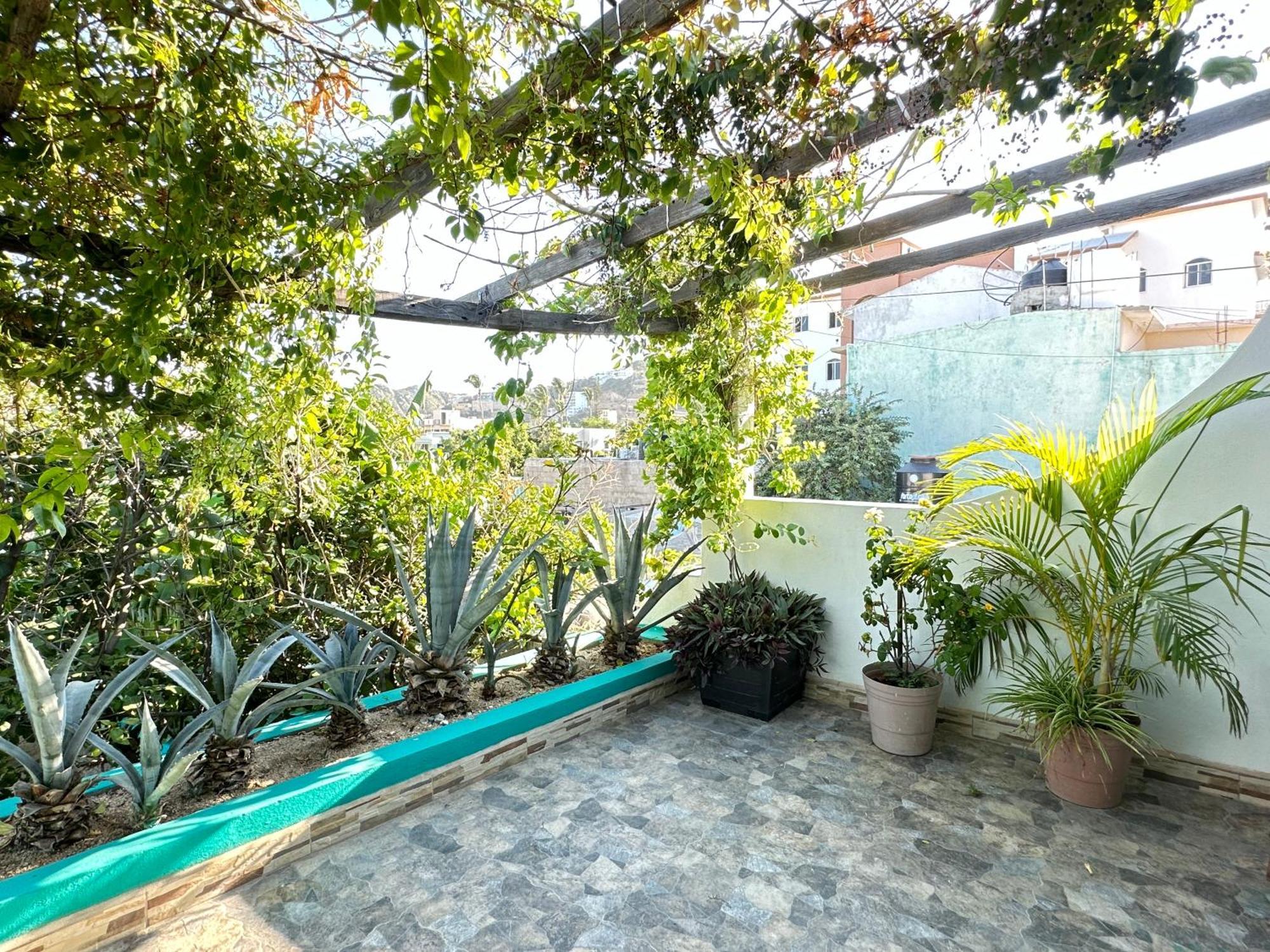 Cabo Bohemia Tropical Garden *