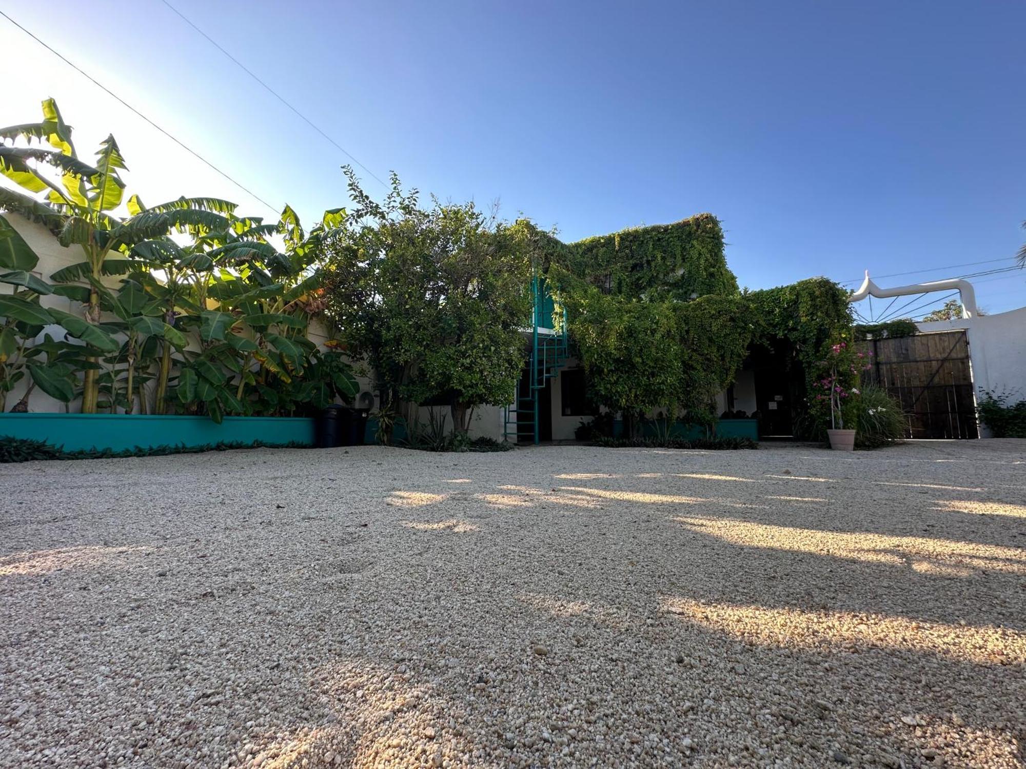 Cabo Bohemia Tropical Garden Apartment