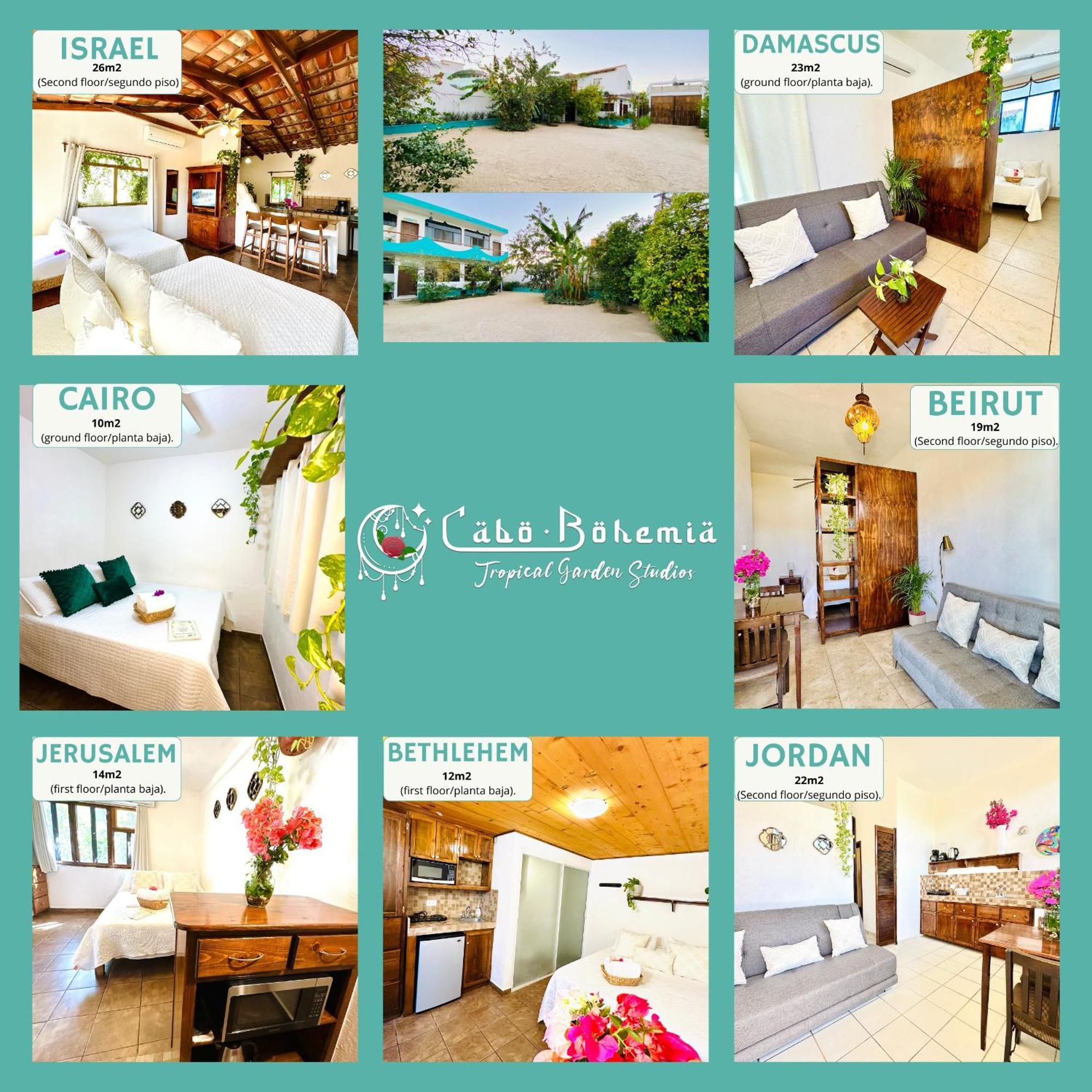 Cabo Bohemia Tropical Garden *
