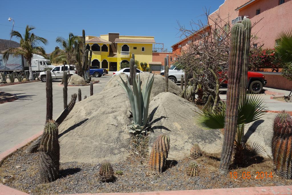 Hotel Hotel Oasis Los Cabos Cabo San Lucas