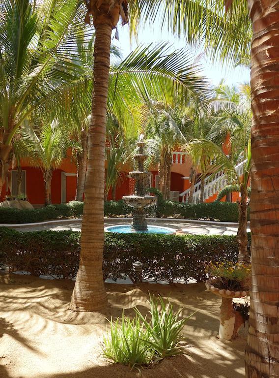 Hotel Hotel Oasis Los Cabos Cabo San Lucas